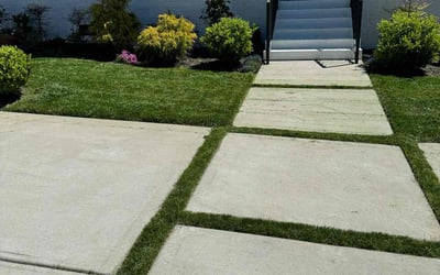 Photo of Angie V.'s yard after getting lawn care in Wellington, FL