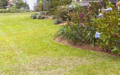 Photo of Patrick A.'s yard after getting lawn care in Willow Spring, NC