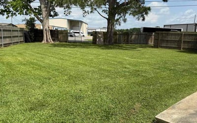 Photo of Nathan M.'s yard after getting lawn care in Abbeville, LA