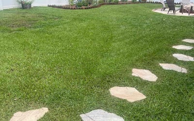 Photo of Chekeitha B.'s yard after getting lawn care in Douglasville, GA