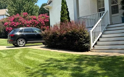 Photo of Kathleen B.'s yard after getting lawn care in Benson, NC