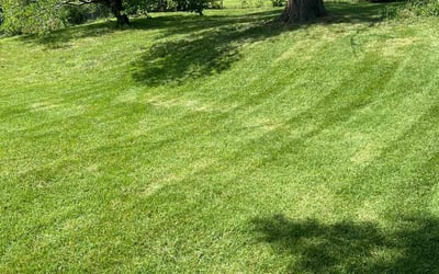 Photo of Bill M.'s yard after getting lawn care in Grain Valley, MO