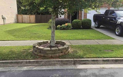 Photo of Cortney D.'s yard after getting lawn care in Loganville, GA