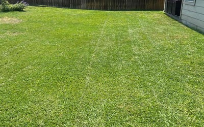 Photo of Clarence R.'s yard after getting lawn care in DeSoto, TX