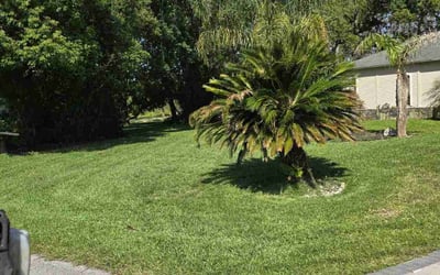 Photo of Julie L.'s yard after getting lawn care in Spring Hill, FL