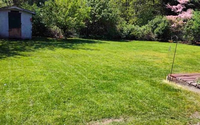 Photo of Julie d.'s yard after getting lawn care in Lacey, WA