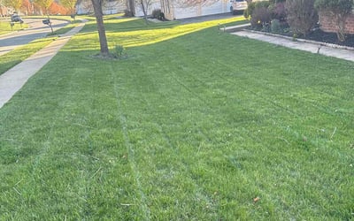 Photo of Aquela E.'s yard after getting lawn care in Glen Mills, PA