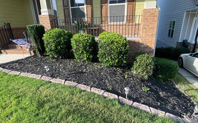 Photo of James C.'s yard after getting lawn care in South Amboy, NJ