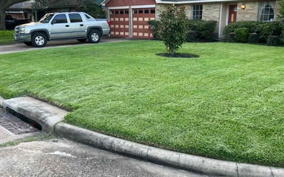 Photo of Cheryl R.'s yard after getting lawn care in Huntsville, AL