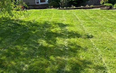 Photo of Brandon H.'s yard after getting lawn care in Mountain Top, PA
