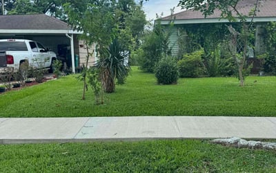 Photo of Deanna E.'s yard after getting lawn care in Pasadena, CA