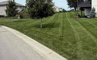 Photo of Monte B.'s yard after getting lawn care in Wetumpka, AL