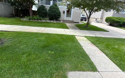 Photo of Janet B.'s yard after getting lawn care in Berwyn, IL