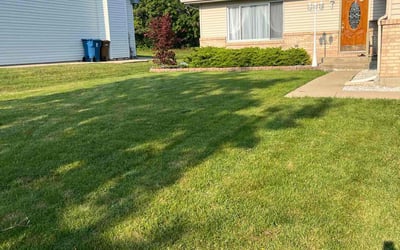 Photo of Dawn J.'s yard after getting lawn care in Glendale Heights, IL