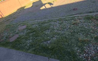 Photo of Georgeann F.'s yard after getting lawn care in San Bruno, CA