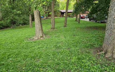 Photo of Mike J.'s yard after getting lawn care in Neenah, WI