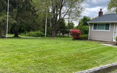 Photo of Michael F.'s yard after getting lawn care in Wallingford, CT