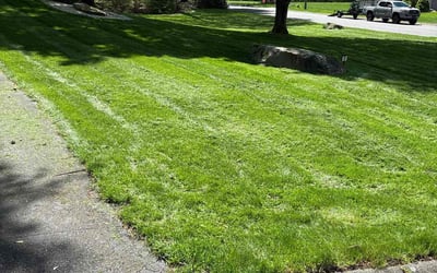 Photo of Nathan B.'s yard after getting lawn care in Columbia, TN