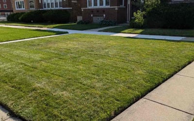 Photo of Adrian J.'s yard after getting lawn care in Elgin, IL