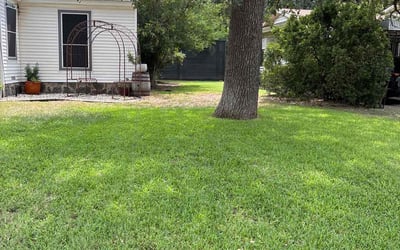 Photo of Tracy K.'s yard after getting lawn care in Mission, KS