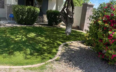 Photo of Jenny S.'s yard after getting lawn care in Queen Creek, AZ