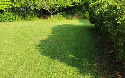 Photo of David S.'s yard after getting lawn care in Grayson, GA