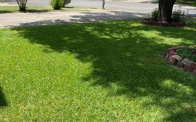 Photo of Ken B.'s yard after getting lawn care in Medford, OR