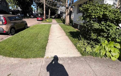 Photo of Pradeep P.'s yard after getting lawn care in Concord, NC