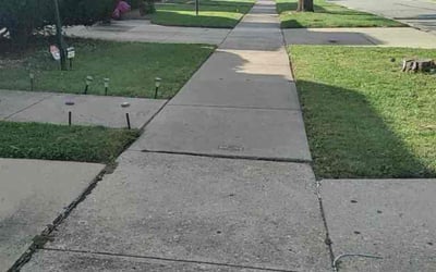 Photo of Jia Y.'s yard after getting lawn care in Queens Village, NY