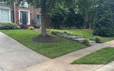 Photo of Alberte F.'s yard after getting lawn care in Canton, GA