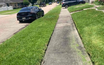 Photo of Miranda H.'s yard after getting lawn care in Westwego, LA