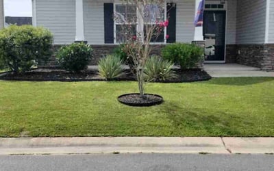 Photo of Jeremy F.'s yard after getting lawn care in Wilmington, NC