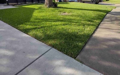 Photo of Lake P.'s yard after getting lawn care in Queensbury, NY