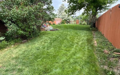 Photo of Jamie K.'s yard after getting lawn care in Elizabethtown, PA