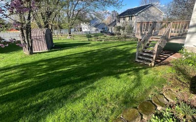 Photo of Nicole T.'s yard after getting lawn care in Bethlehem, PA