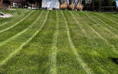 Photo of Katrina C.'s yard after getting lawn care in Abingdon, MD