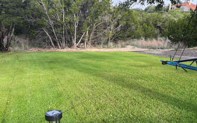 Photo of Martha M.'s yard after getting lawn care in Cuyahoga Falls, OH