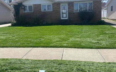 Photo of Rick K.'s yard after getting lawn care in Brookpark, OH