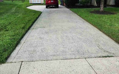 Photo of Debra G.'s yard after getting lawn care in Bristol, TN