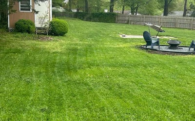 Photo of Leslie b.'s yard after getting lawn care in Lusby, MD