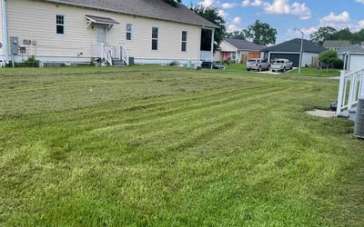 Photo of Nathan T.'s yard after getting lawn care in Holt, MI