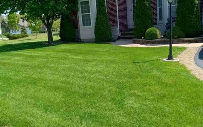 Photo of Beth S.'s yard after getting lawn care in Burr Ridge, IL
