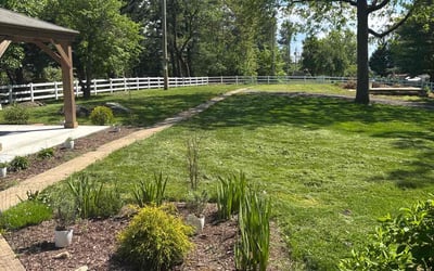 Photo of Ross M.'s yard after getting lawn care in Cartersville, GA