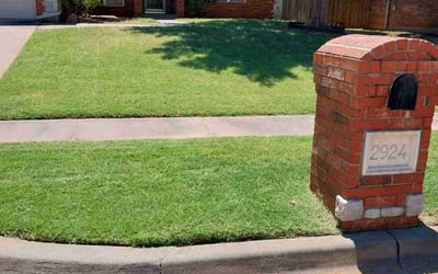 Photo of Mueen B.'s yard after getting lawn care in Norman, OK