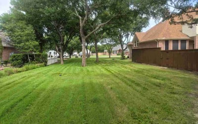 Photo of Dave A.'s yard after getting lawn care in Austin, TX