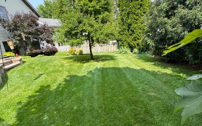 Photo of Deb K.'s yard after getting lawn care in Madison, WI