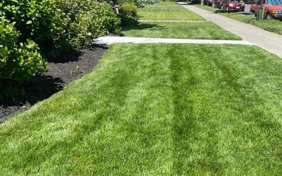 Photo of Evelyn H.'s yard after getting lawn care in Marion, AR