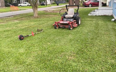 Photo of Missy H.'s yard after getting lawn care in South San Francisco, CA