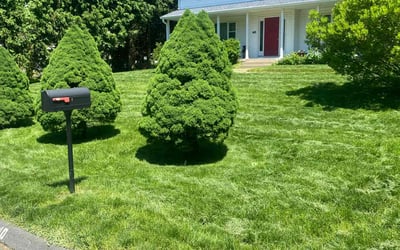 Photo of Tyler D.'s yard after getting lawn care in South Windsor, CT