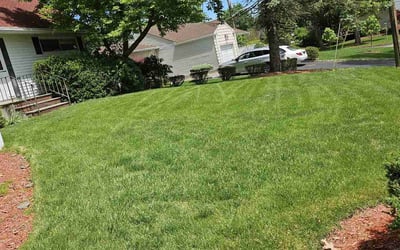 Photo of Srikanth E.'s yard after getting lawn care in Keansburg, NJ